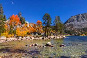 Aspens above Rock Creek Lake-4978.jpg Aspens above Rock Creek Lake-4978.jpg